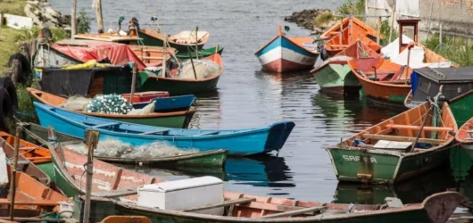 Seguro-Defeso em Debate: Pescadores Serão Ouvidos em Audiência Pública Crucial Sobre Novas Regras da MP 1323/25