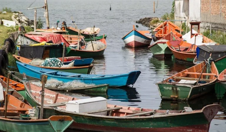 Seguro-Defeso em Debate: Pescadores Serão Ouvidos em Audiência Pública Crucial Sobre Novas Regras da MP 1323/25