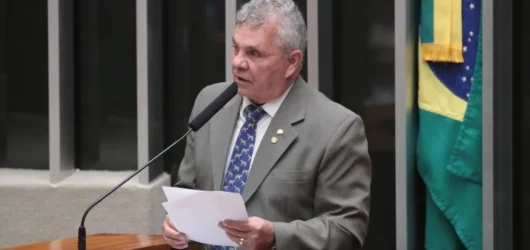 Agentes Ambientais Podem Portar Armas: Comissão da Câmara Aprova Porte para Proteção em Missões de Fiscalização