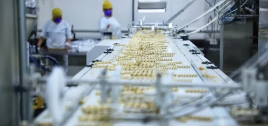 Acordo Internacional de Segurança e Saúde no Trabalho: Brasil Avança na Proteção aos Trabalhadores com Convenção da OIT